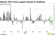 美国比特币 ETF 资金流出，市场对加密货币前景存在分歧